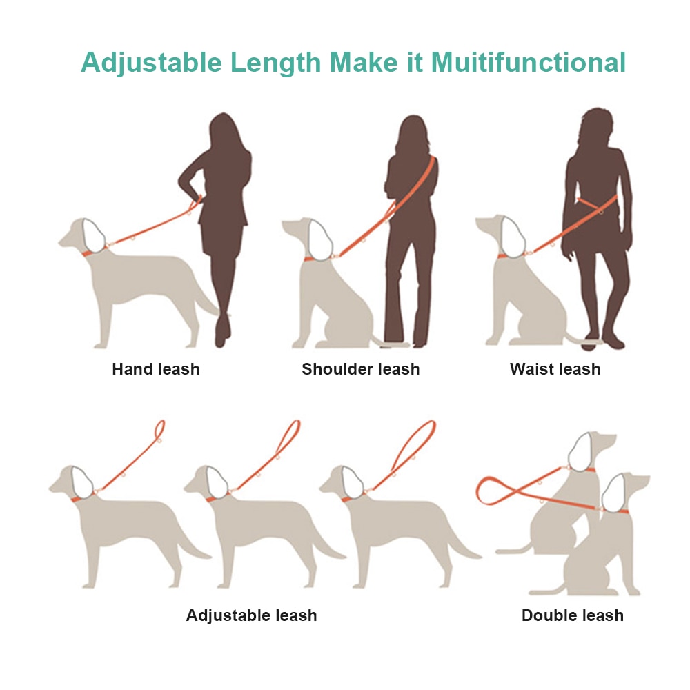 Multifunktionel nylon hundesnor kæledyrsnor gåtræning blykatte hunde snore rem lang hundebæltetov 6ft holdbar