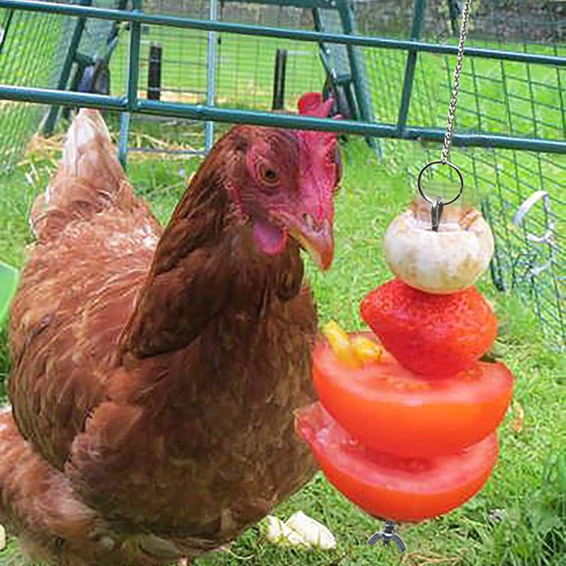 Forrajeo-pincho de acero inoxidable para comida, soporte para fruta para gallinas, comedero colgante para verduras, juguete de verduras