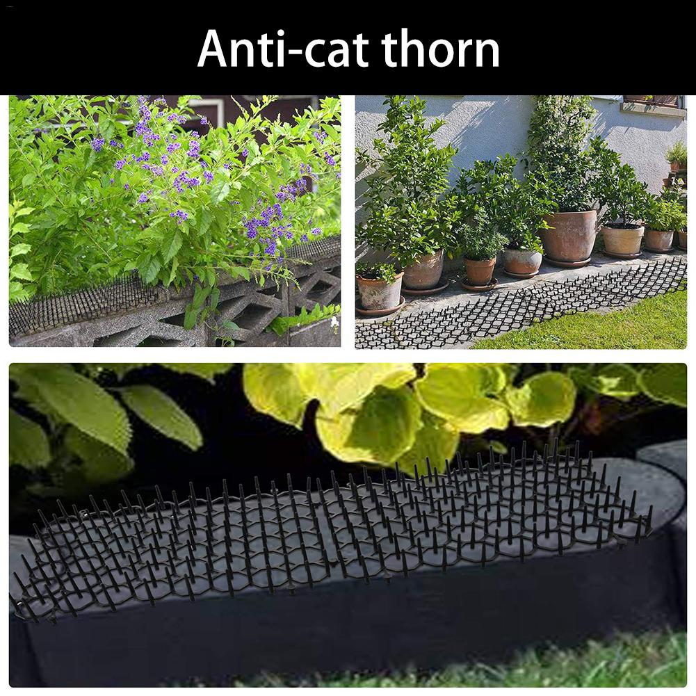 5 pièces Anti-chat épine jardin en plastique clou Pad Animal répulsif plante Protection outil
