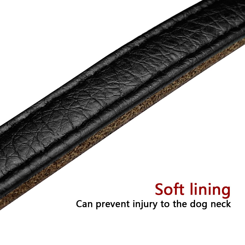 Martingale − collier pour dressage de chien, demi-choque, pour animaux de compagnie, 5 couleurs disponibles, rembourré, protège le cou