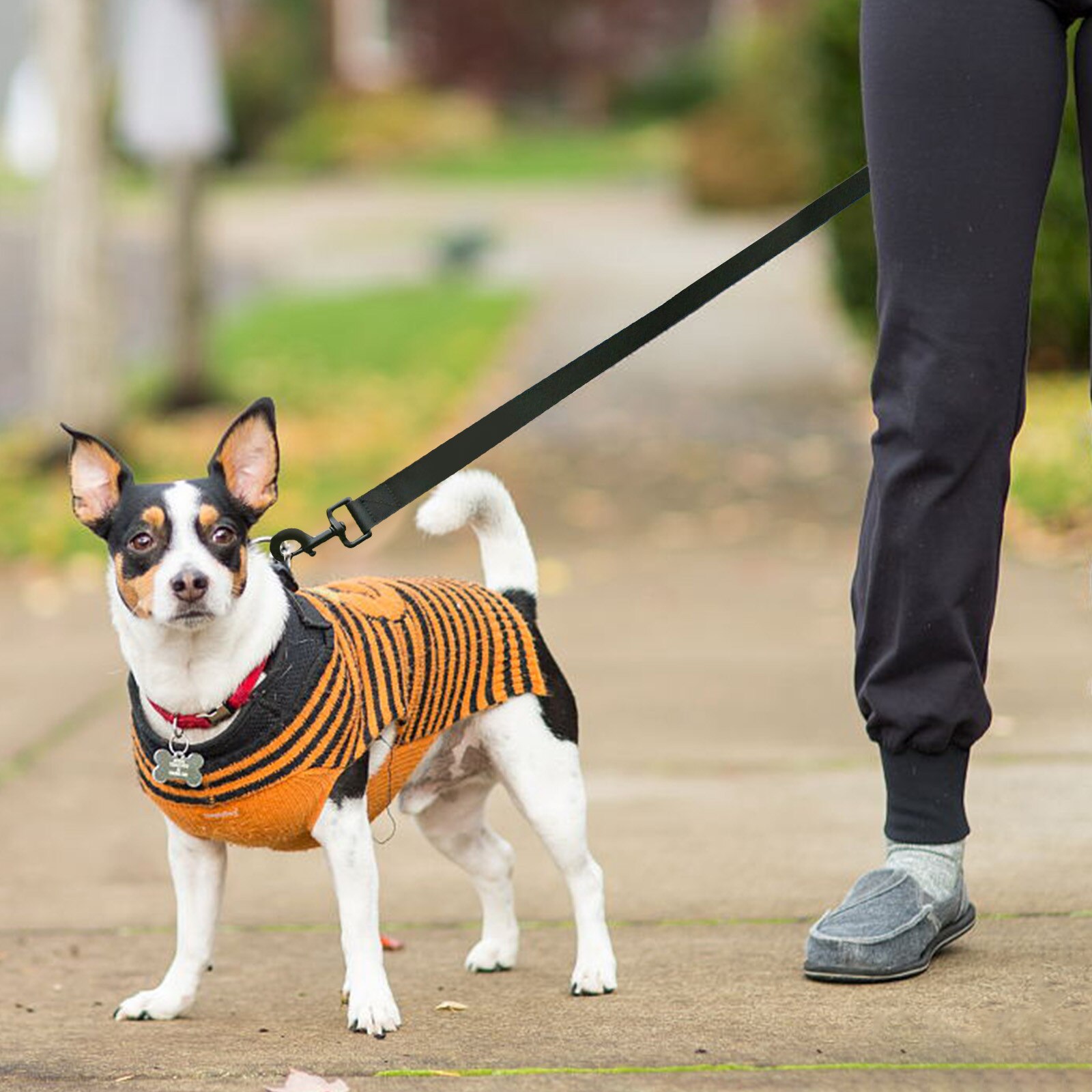 Pet Dog Running Leash Rope Hand Control Dog Joging Walking Leash with Reflective Hands Free Pets Double Elasticity Collar Rope