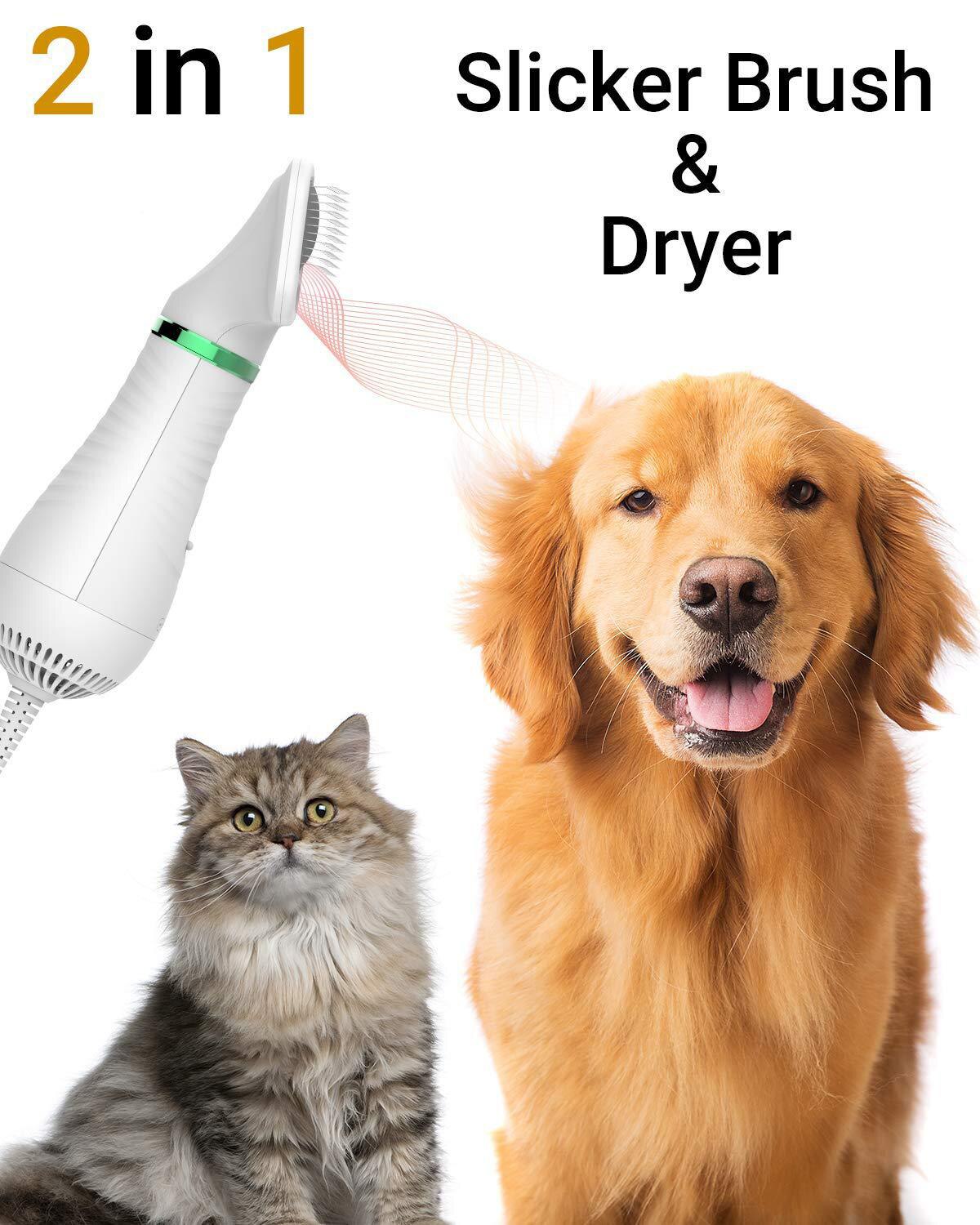 2 in 1 Portable Pet Hair Dryer Pin Cat Drying Hair Removal Pet Comb Beauty Stainless Steel Low Noise EU/US/UK/AU Plug 100-240v