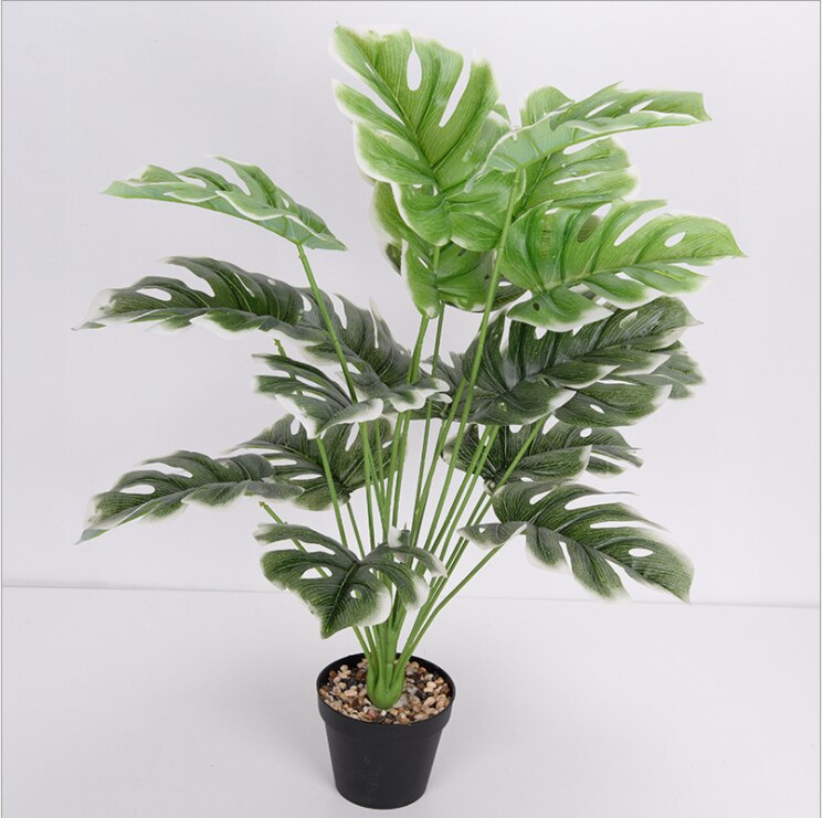 70cm Artificial Plant 18 Large Turtle Back Leaves Home Living Room Restaurant Office Hotel Decoration Garden Decoration: White edge without b