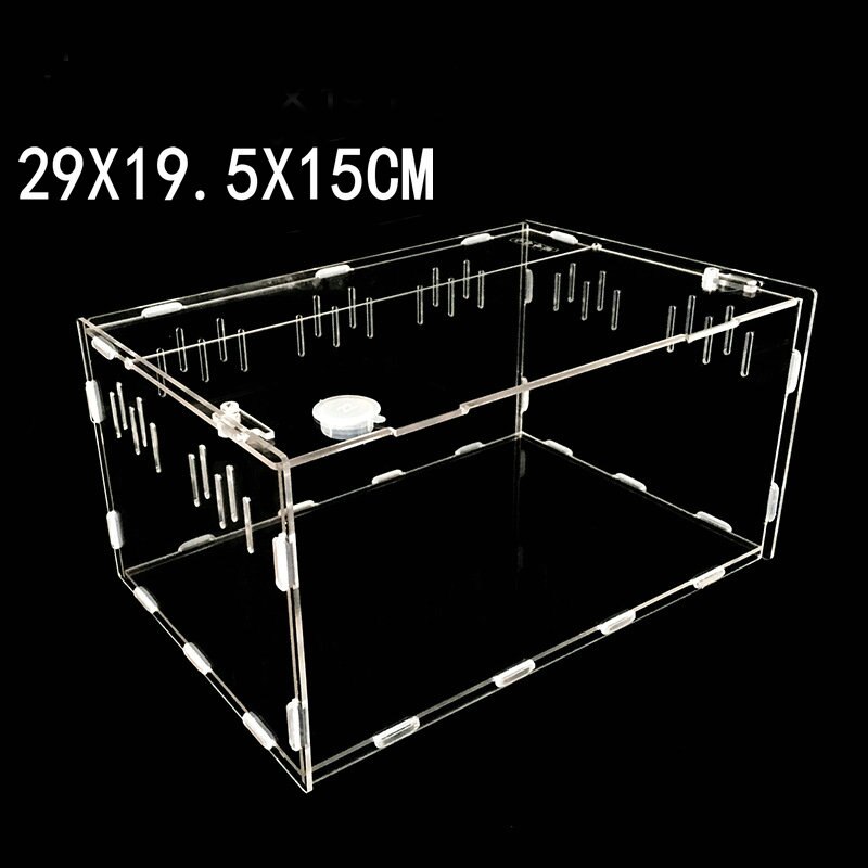 Transparent Acrylic Reptile Box for Spiders Tortoise Lizard Breeding Insect Box Vents Sliding Small Pet Terrarium Vivarium: S