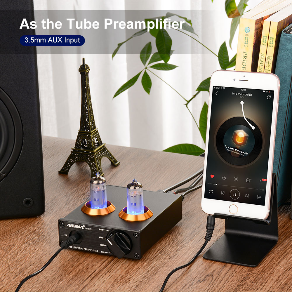 AIYIMA Tube T3 HiFi przedwzmacniacz karta audio rura próżniowa 6A2 przedwzmacniacz gramofonowy przedwzmacniacz gramofonowy DIY wzmacniacze dźwięku mocy