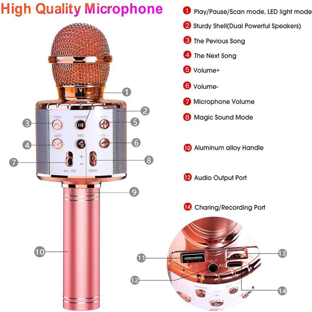Draagbare Bluetooth Karaoke Microfoon Draadloze Professionele Spreker Thuis Ktv Handheld Microfoon