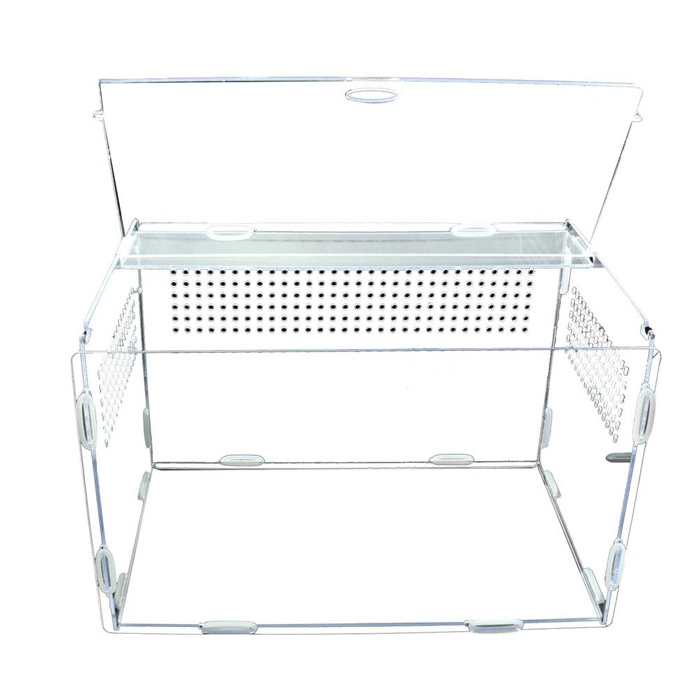 ! Transparent Reptile Breeding Box Reptile Breeding Box Acrylic Feeding Box For Spider Lizard Frog Cricket Turtle