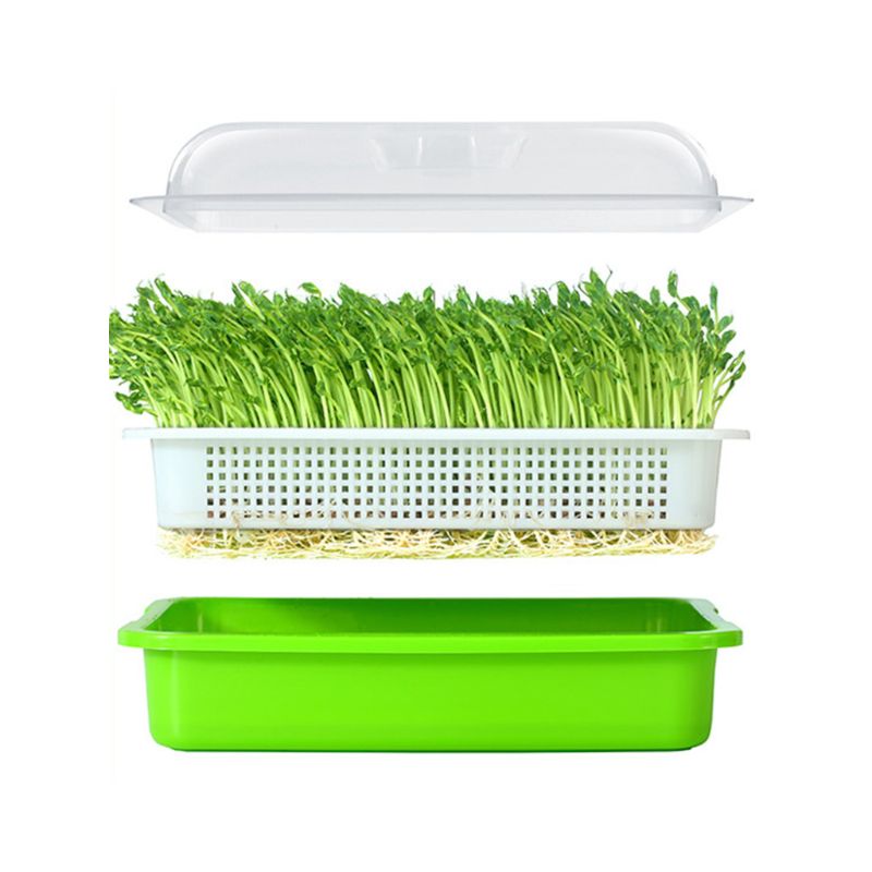 Plateau de germe de graines sans BPA PP sans sol cultivateur d'herbe de blé sain avec couvercle plaque de germe de semis Hydro