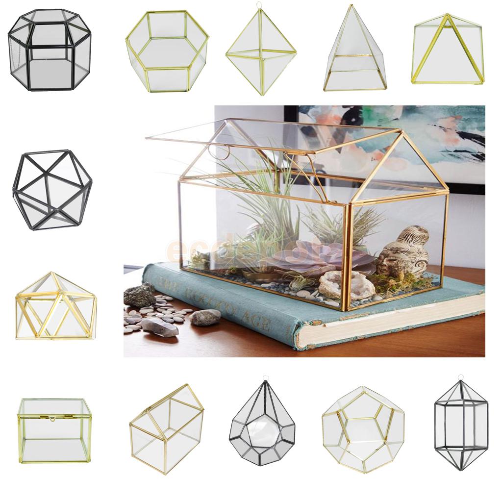 Magideal Verschillende Onregelmatige Glas Geometrische Succulente Planter Vaas Terrarium Container Tafelblad Pot Diy Home Office Wedding Decor