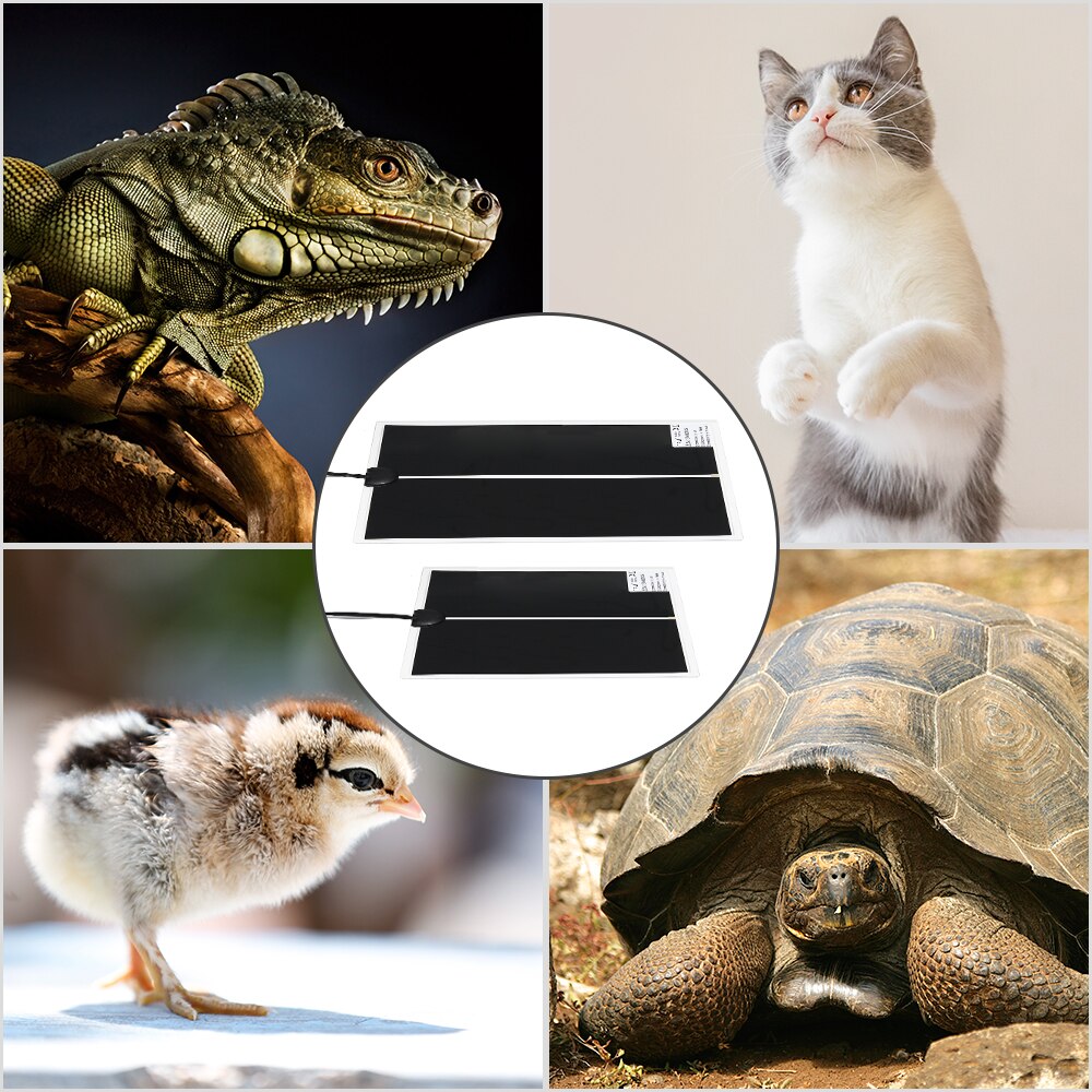 28*28Cm Terrarium Reptielen Warmte Mat 5-45W Klimmen Huisdier Verwarming Warm Pad Verstelbare Temperatuur Controller incubator Mat Gereedschap