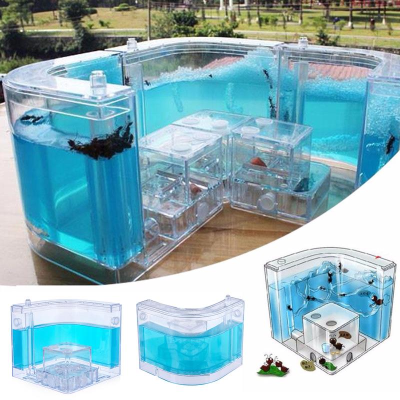 Maison de fourmis 10.8CM, ferme de fourmis, nid de fourmis, zone d'alimentation, Art spécial, Villa transparente colorée, décoration amusante, pour enfants