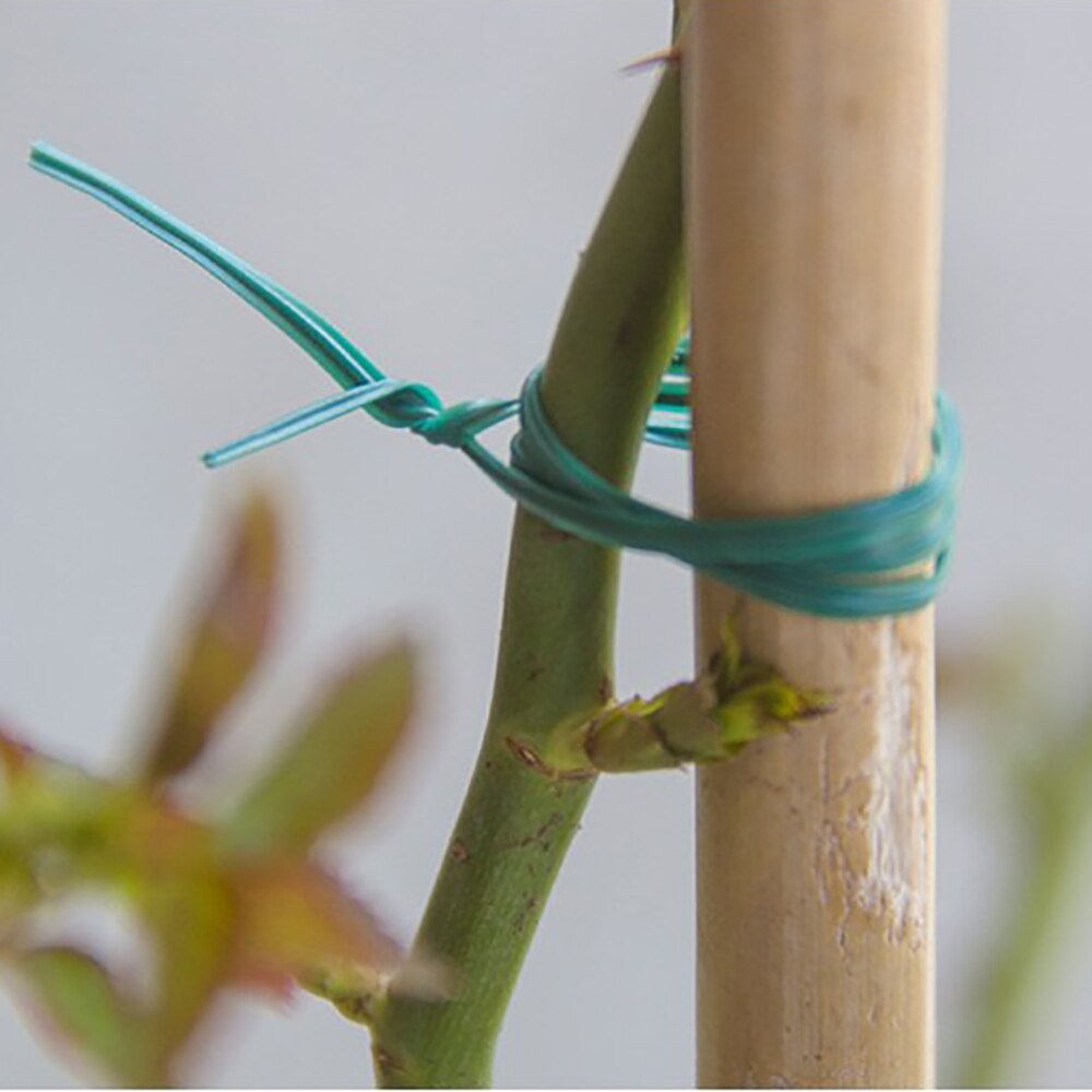 Tuin Twistties Wire Tuinieren Wijnstok Klimmen Planten Vaste Buckl Gplant Ondersteuning Ringen Ondersteuning Strawber Tie Wordt Geleverd Met Scharen