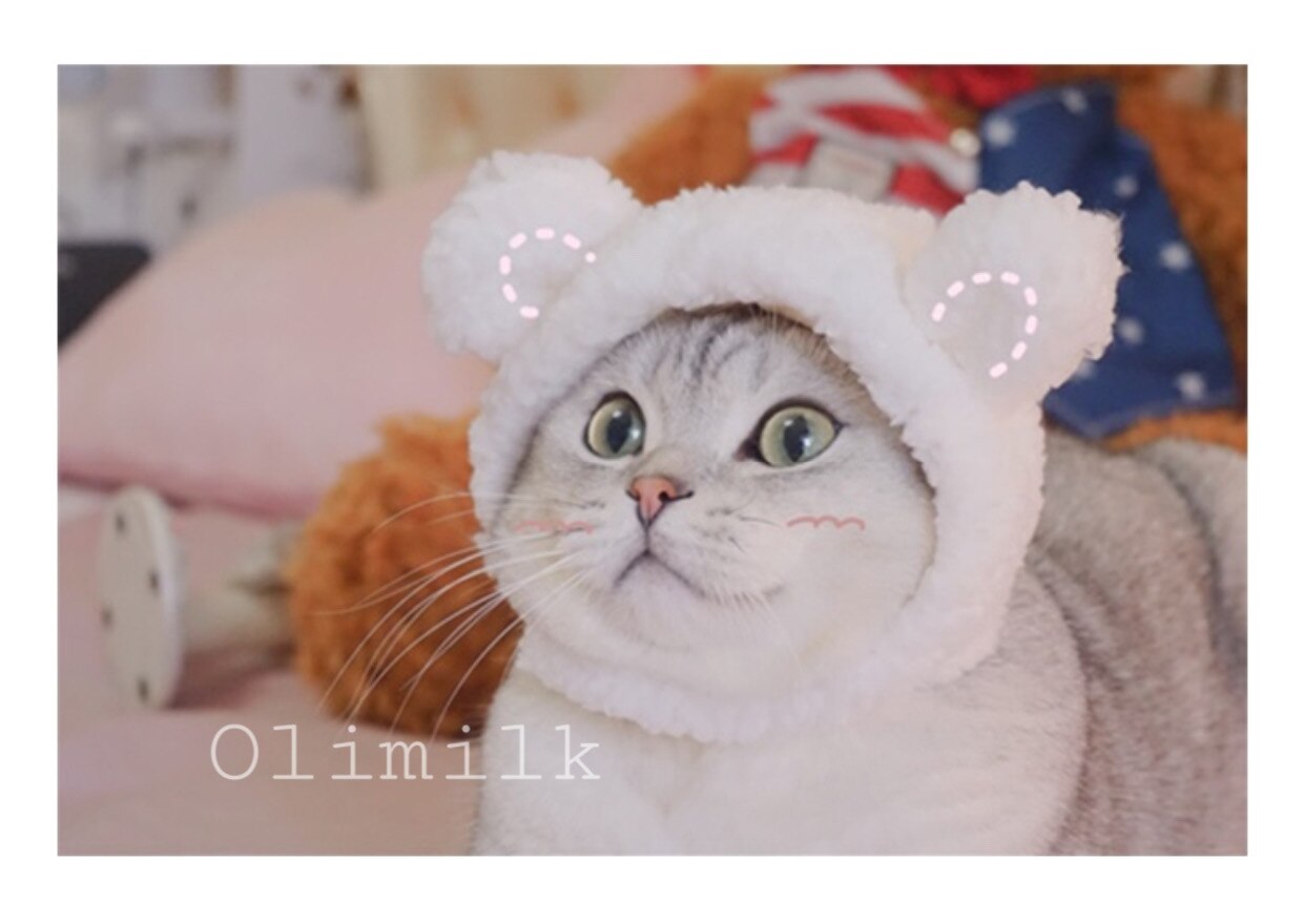 A cute bear pet hat pet dog cat hat dress up headdress puppy cat cosplay costume decoration hat