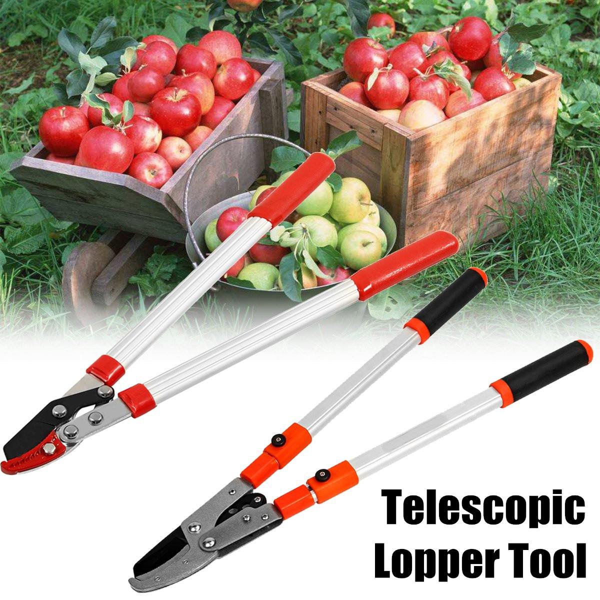 Snoeien Gereedschap Telescopische Boom Ratel Takkenschaar Snoeischaar Uitbreiding Tuin Cutter Tak Shear Gereedschap Tuin Handgereedschap