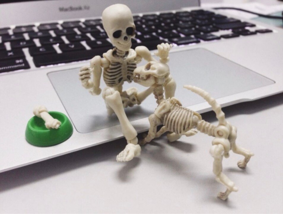 Sig. osso Innovativo Giocattolo per Adulti Bambini Regali di Halloween giocattolo Della Novità Scheletro Famiglia