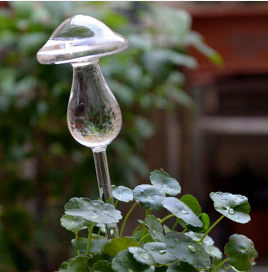 Alimentador automático de agua para plantas y flores, dispositivos de autorriego, alimentador de agua de vidrio transparente, forma de pájaro, 6 formas: mushroom