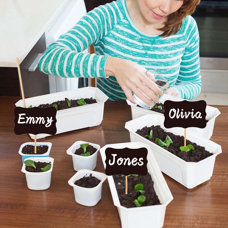 Etiquetas cuadradas pequeñas de madera para plantas, marcadores de madera, flores, verduras, plantas, macetas de jardín, etiquetas de bambú, letreros impermeables, 10 unids/set