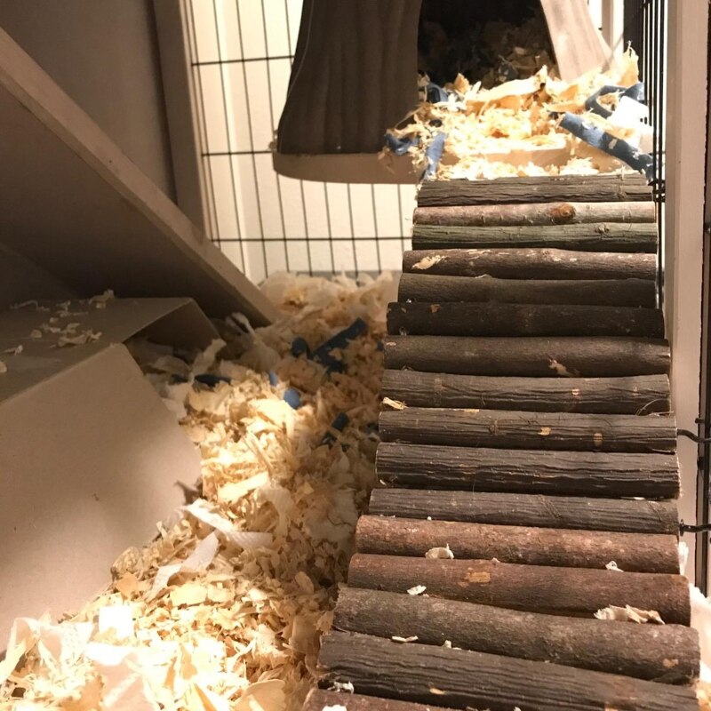 Pont suspendu pour Hamsters, petite échelle d&#39;escalade pour animaux de compagnie, Tunnel pliable en bois naturel, gerbille, jouets à mâcher