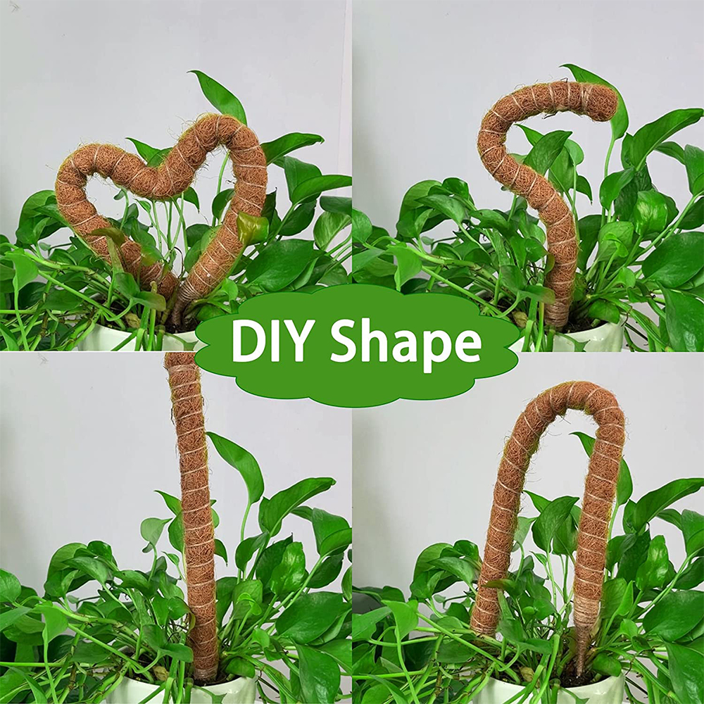 Postes de plantas flexibles DIY para plantas, palos Monstera, soporte para entrenar en interiores, para crecer hacia arriba, estacas hechas a mano para escalar
