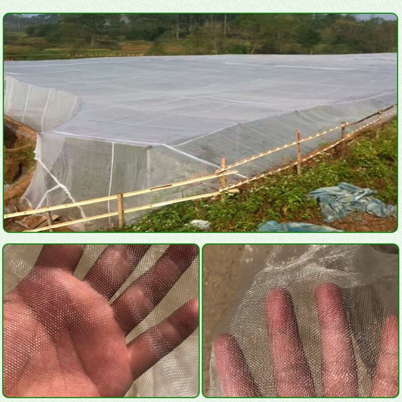 Tuinnet insecten insecten vogel beschermingsnet groenten fruit bloemen plantenbescherming kas tuinnet zomer