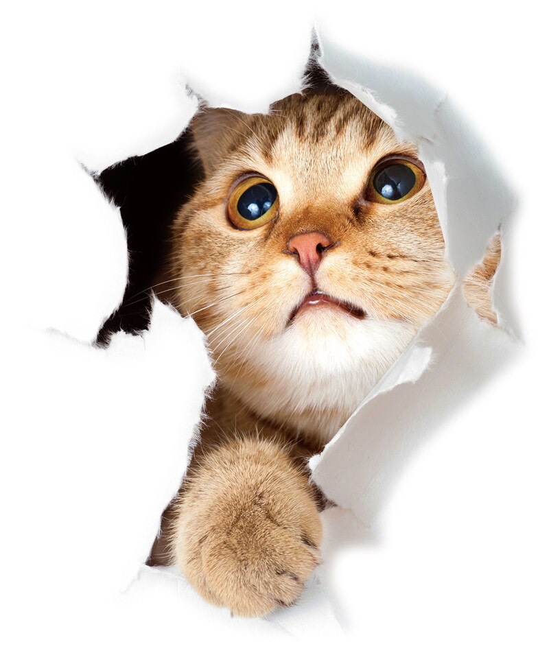 3d Vivid Gat Kat Muurstickers Muurstickers Koelkast Wc Deur Muurstickers Home Decoratie Dieren Muurschilderingen Poster: XH2005