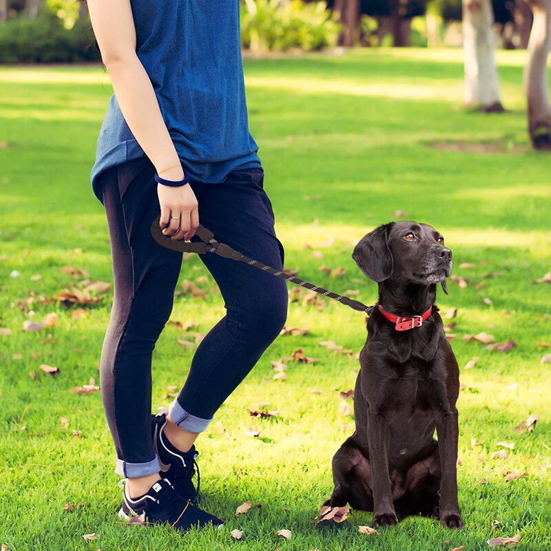 Benepaw polstret stærk kort hundesnor træning reflekterende intet virvar behagelig guide hund kæledyr snor fører reb let kontrol
