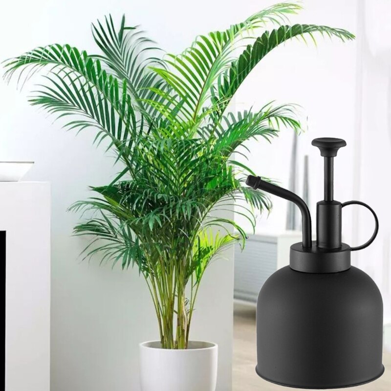 Mini Giesskanne Gnstig Mini-Giekanne Aus Edelstahl  284 Ml, Mit Langem  Ausguss Fr Przises Gieen Von Zimmerpflanzen & Sukkulenten Kleine  Giekanne Fr Sukkulenten