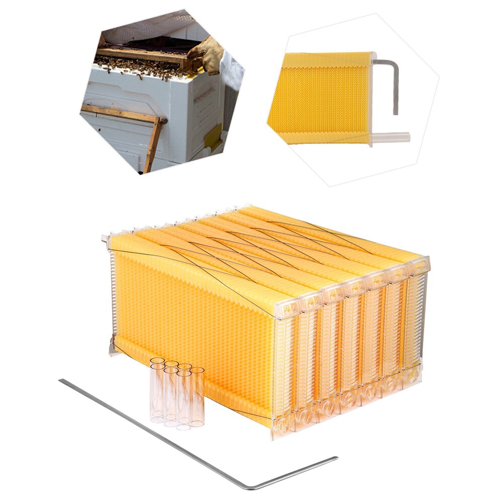 Automatische Honing Collection Nest Frame Bijenteelt Bijenkorf Food-Grade Plastic Honingraat Blok Bijenkorf Doos Imker Gereedschap