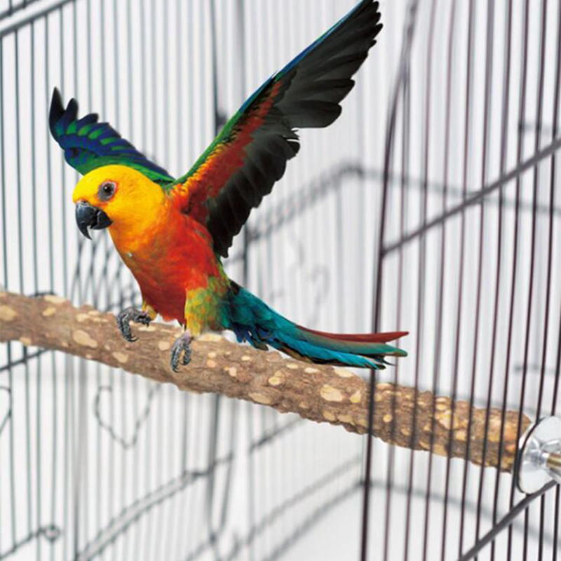 Oiseau griffe bec barre de meulage bâton debout perroquet Station pôle oiseau fournitures perroquet support griffes Cage accessoires 10cm: Default Title