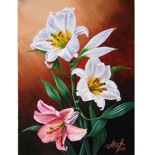 Drawing By Numbers Flowers Kits Oil Painting On Canvas Drawing Painting By Numbers For Wall Art Lily Picture: Y5497