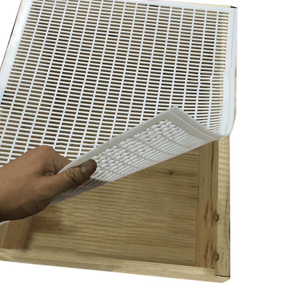 Plaque en plastique pour roi Cage | Plaque pour reine Cage pour grille abeilles et Apiculture, apiculteur abeille et outils pour abeilles 1 pièce