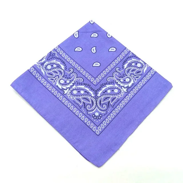 Hommes femmes bandana bandeau cowboy hommes motard sport chapeaux hip hop poignet bandeau simple face tête enveloppement écharpe: MULTI