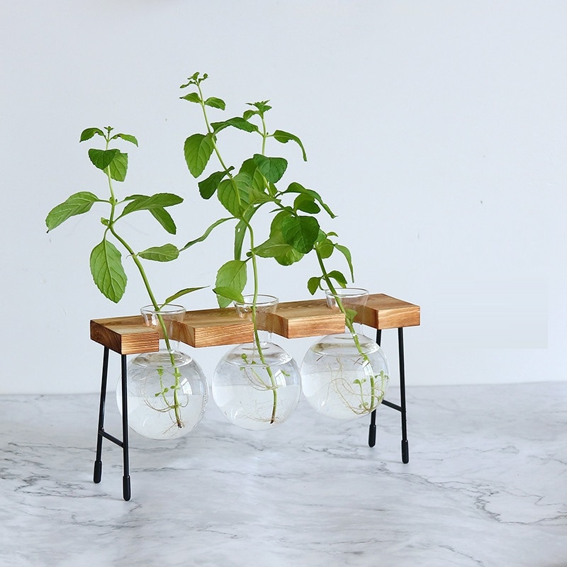 Florero de vidrio para plantas hidropónicas, marco de madera para cafetería, jarrón de decoración, terrario, bonsái para el hogar, estación de decoración
