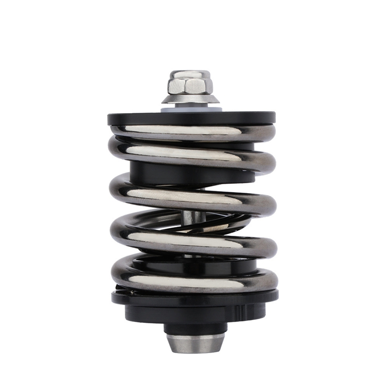 Folding Bike Stainless Steel Rear Shocks Spring Titanium/Steel Axis Shock Absorber EIEIO For Brompton Bicycle: A Titanium Ti-Axis