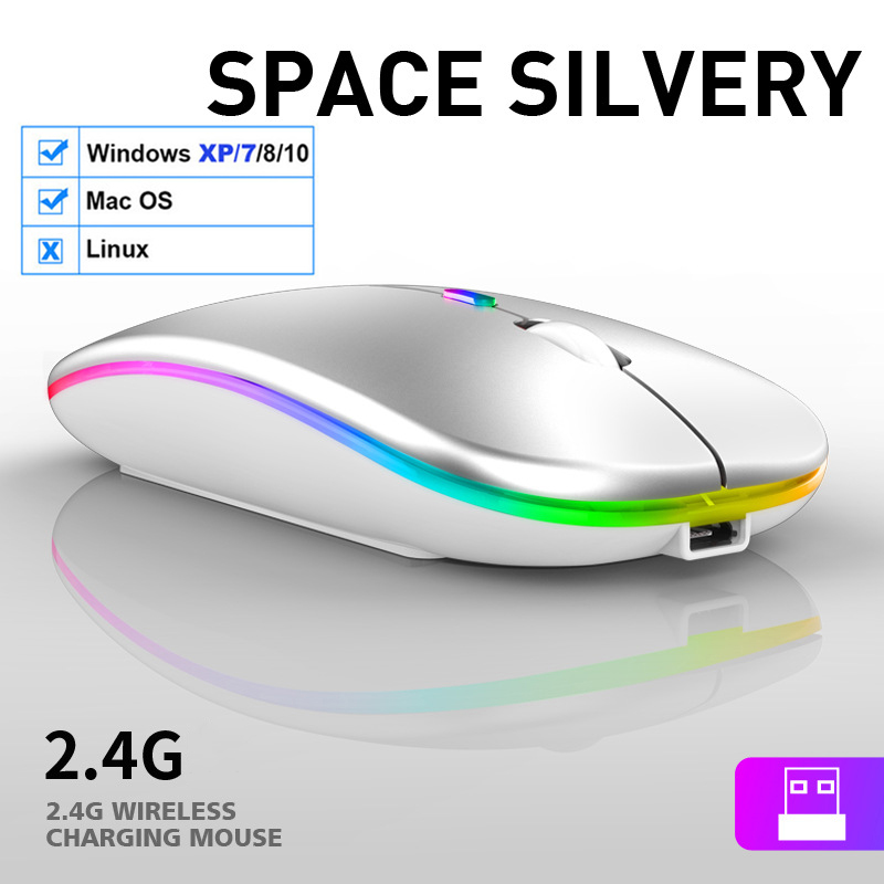 Mouse Wireless USB ricaricabile Mouse RGB compatibile con Bluetooth Mouse ergonomico silenzioso con retroilluminazione per PC portatile ipad: 2.4Ghz Mode-Sliver