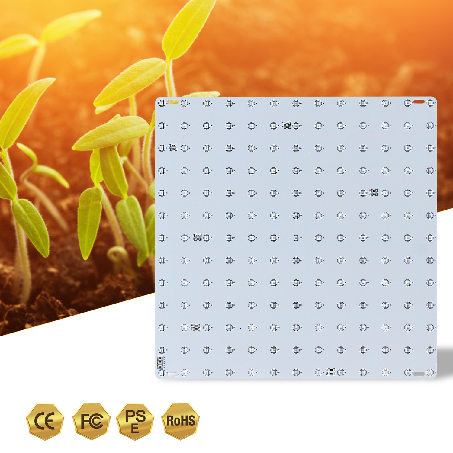Fito-Fito de espectro completo de 220V, luz LED para cultivo de plantas, 200W, para semilleros, tablero cuántico, lámparas de 300W, caja de tienda de cultivo hidropónico