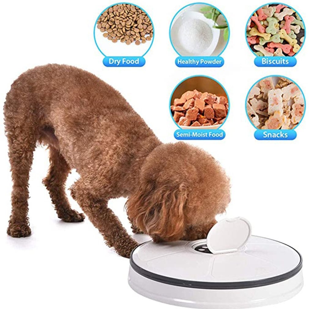 Electrical Timing Dog Automatic Feeders 6 Grid Smart Feeders For Cats And Dogs With Music Reminder Pet Supplies