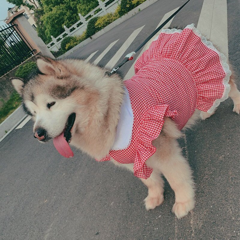 Spring Summer Dog Dress Puppy Pet Clothes for Medium Large Dogs Costume Labrador Golden Retriver Large Dog Dresses Disfraz Perro