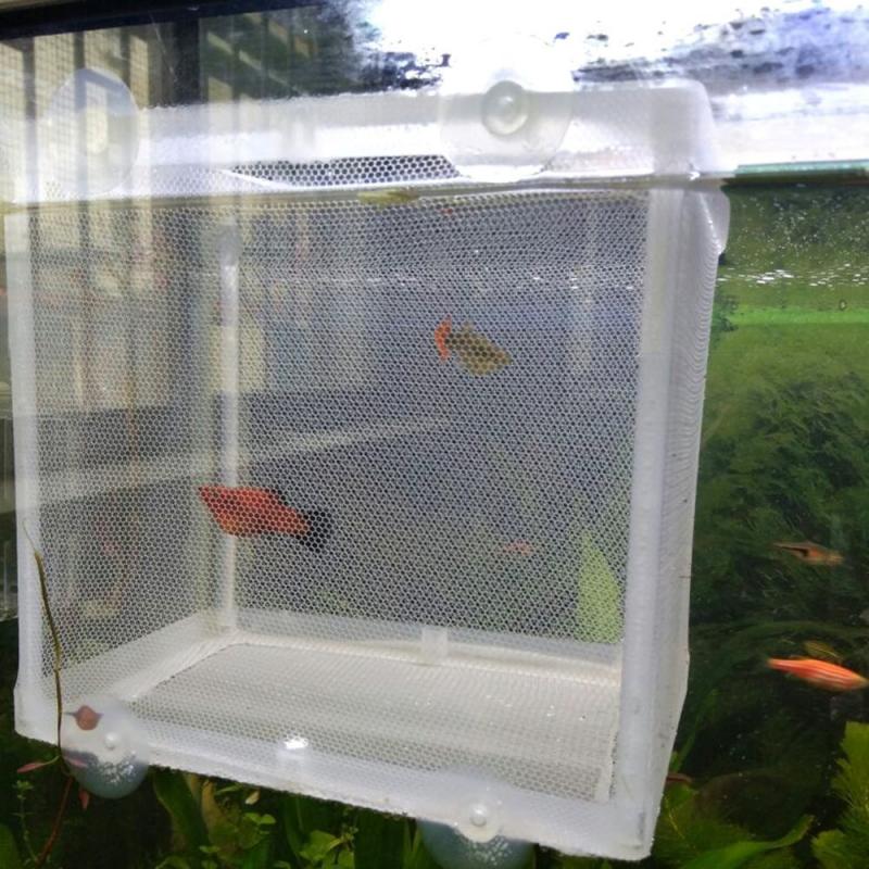 L Fish Breeding Incubator Net Hanging Fry Baby Fish Hatchery Isolation Box Aquarium Accessory