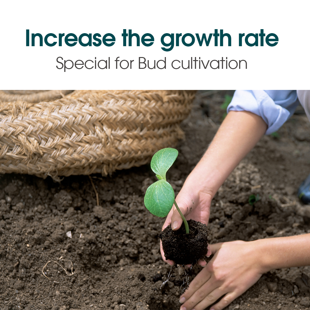 Indoor Garden Hydroponics Growing System LED Grow Light for Seed Starter Red Blue Lighting Greenhouse Germination Humidity Dome