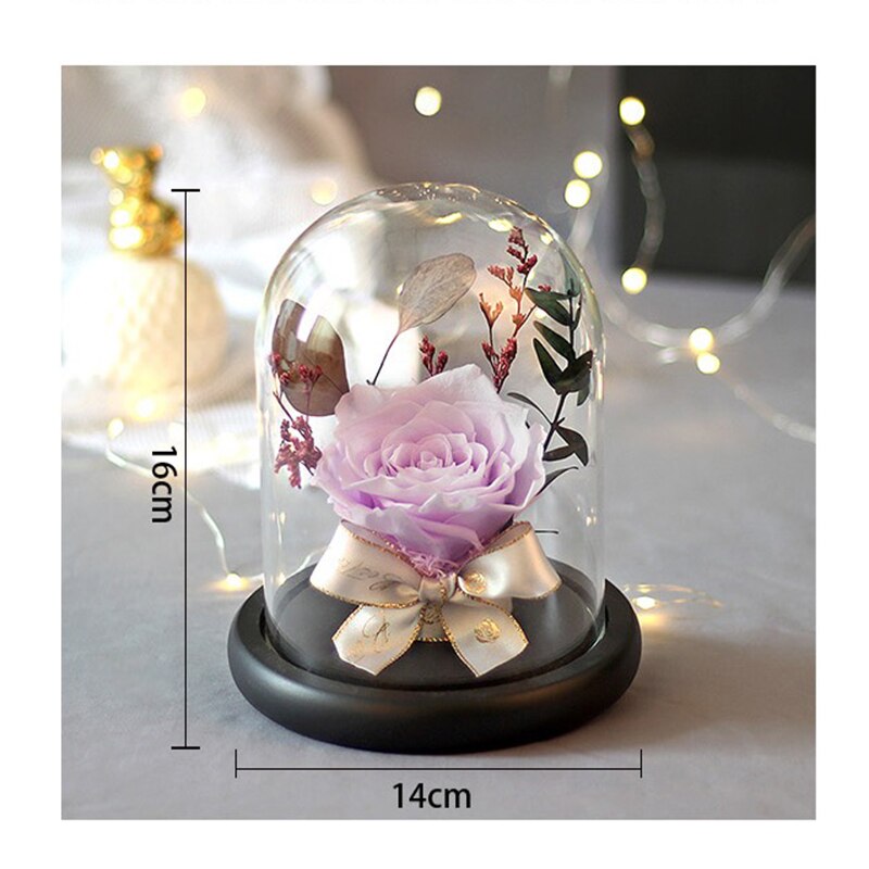 Preserved Flower Rose Glass In A Dome Dried Flower Bouquet For Valentine's Day Girlfriends Birthday Wedding