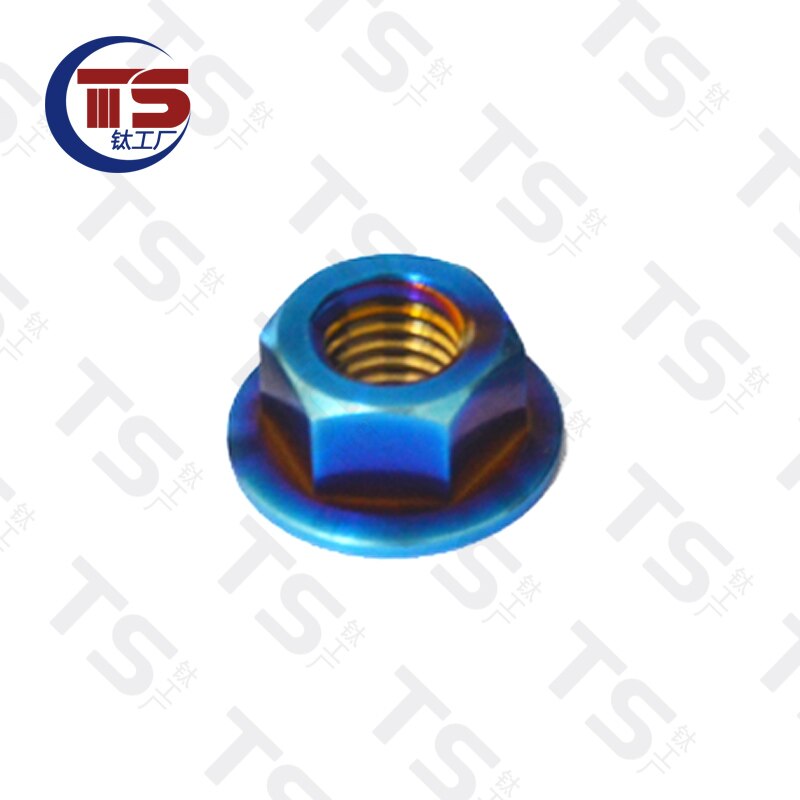 Ts Titanium Bolt M8X15/20/25/30/35/40/45/50/55/60Mm Torx Ti Schroef Voor Motor V Brake Vorken Onderdelen Titanium Bevesti (1Pc): M8 P1.25 / Burn blue