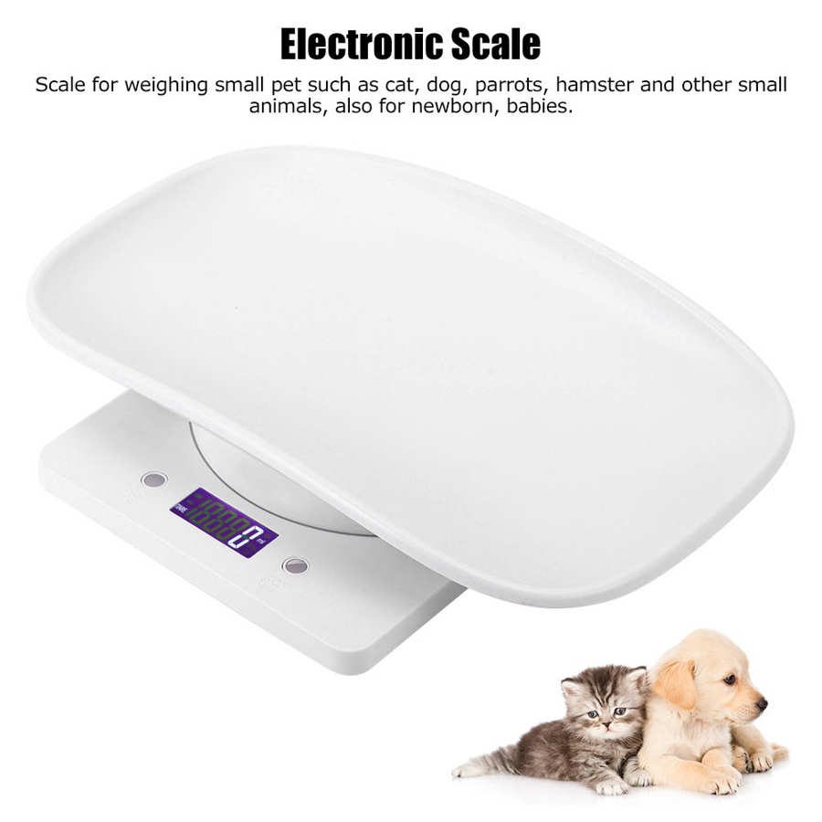 Báscula Digital de cocina de 10kg/1g, pequeña escala de peso para mascotas para gatos y perros, herramienta de medición electrónica