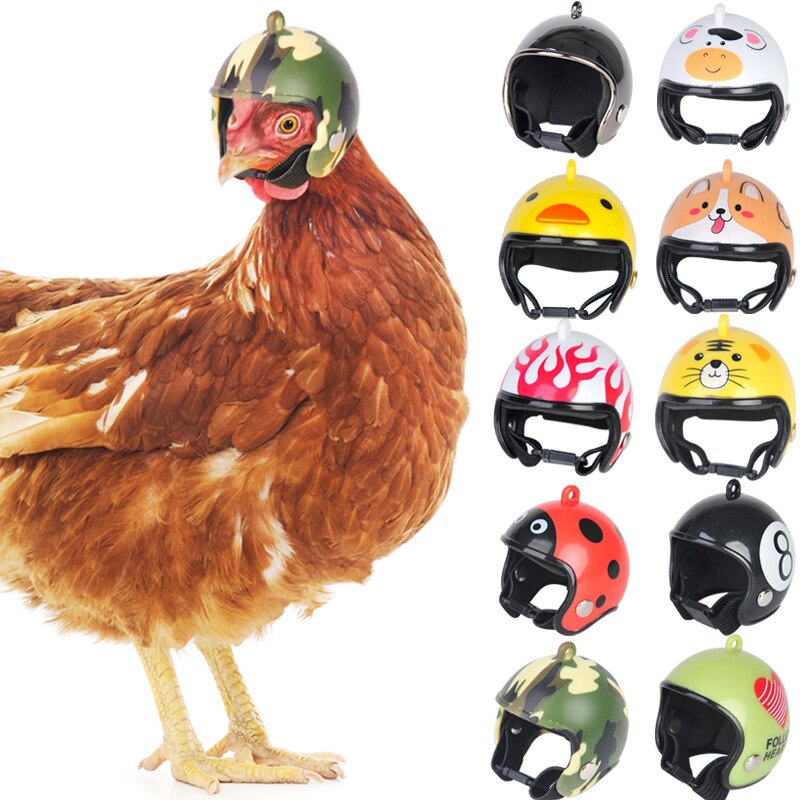 Casco de seguridad para pollos y mascotas pequeñas, equipo de protección contra el sol, protección contra la lluvia, 10 Uds.