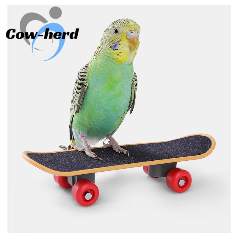 2 Stck Vogel Papagei Intelligenz Spielzeug Mini Ausbildung Skateboard Für Wellensittiche Sittich Wachstum Spielzeug Haustier Spielzeug Vogel Zubehör Krallen