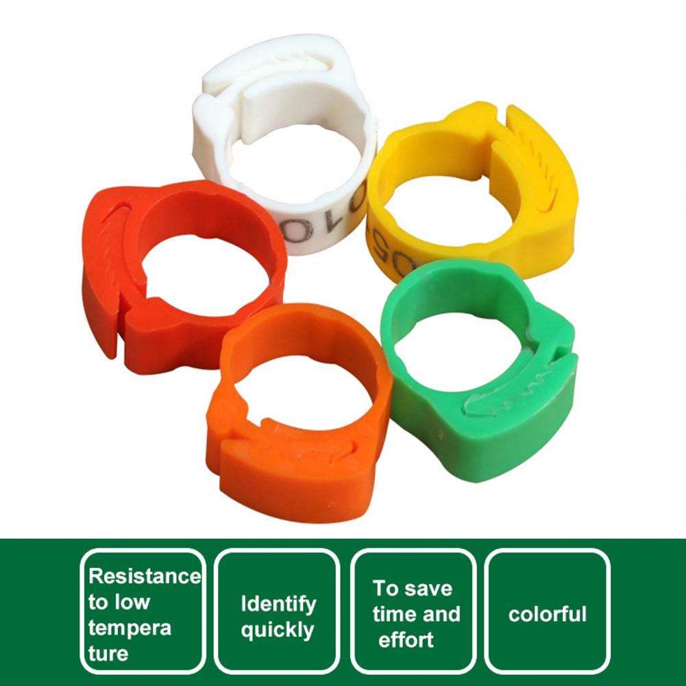 100Pcs Premium Textuur Kip Ring Slijtvaste Kip Been Bands Montage Maat Comfortabele Eend Kip Been Ring