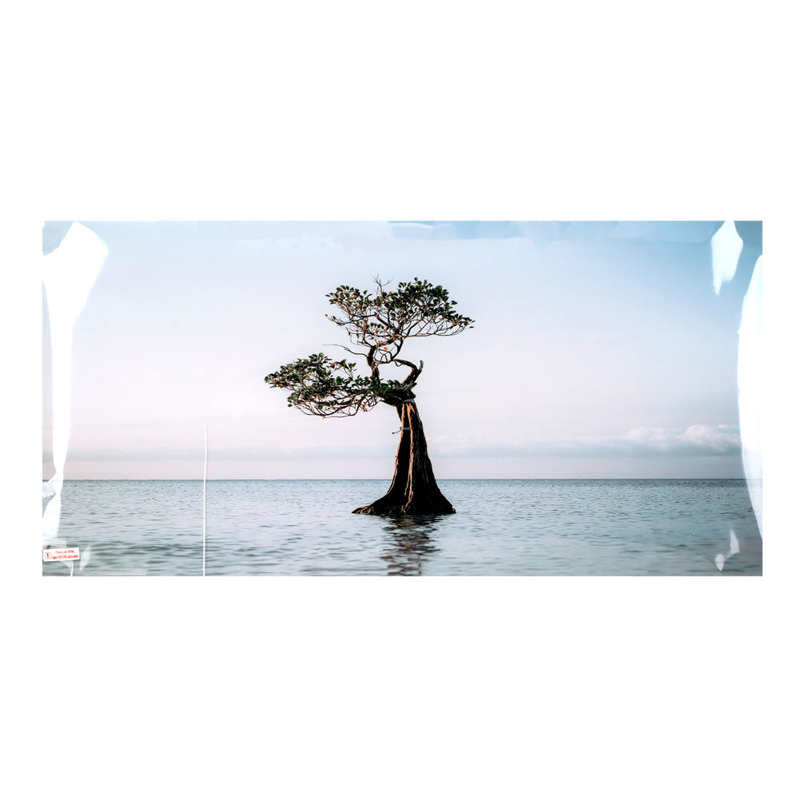 Self Adhesive Fish Tank Wallpaper Aquarium Background Poster Lifelike Tree in The Sea Style for Tank: 122 x 50cm