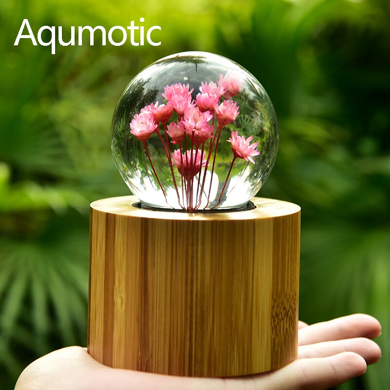 Aqumotic-caja de música de margaritas, bola de cristal, flores secas, cajas musicales de bambú de cristal para amantes, para niña, 1 ud.