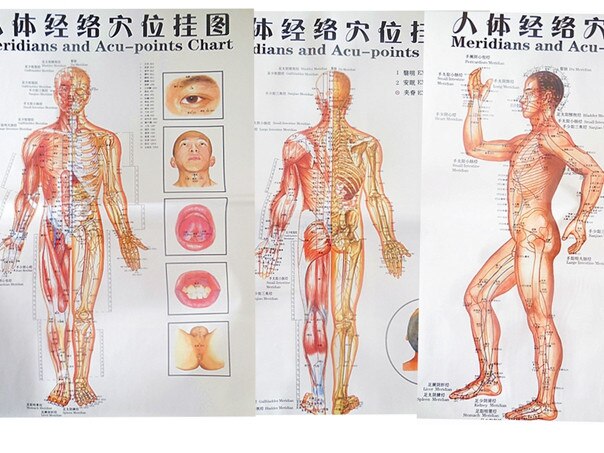 color body acupuncture points chart /Meridian points side/ front / back chinese-English 7pcs set