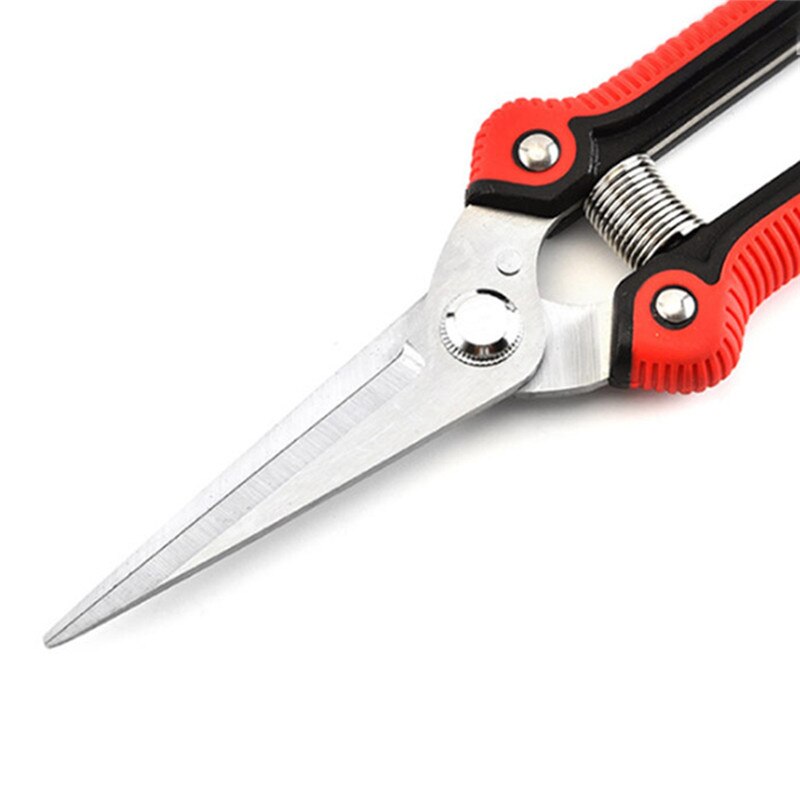Straight Blade Pruning Cut Shrub Tool Plant Horticulture Leaf Trimmer Shear Scissor Pruner Garden Fruit Flower Orchard